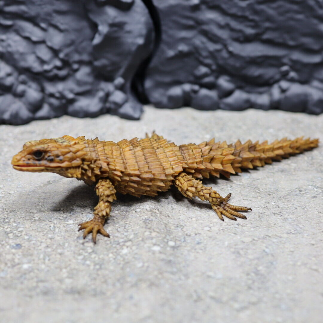 Picture 3 of 46