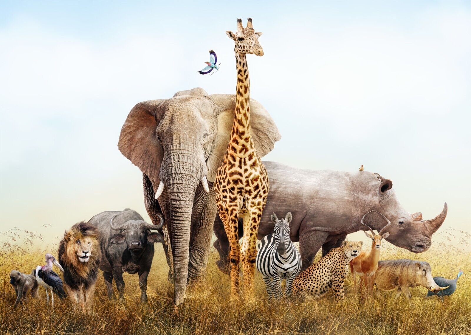 Wildlife World Dinosaurs Shaped Puzzle | Scholastic Canada Book Clubs