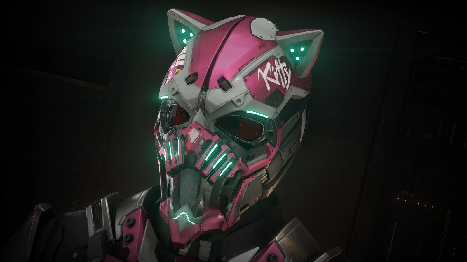 STAR CITIZEN - STAR KITTEN COMPLETE ARMOR SET - ARMOR + HELMET - 3