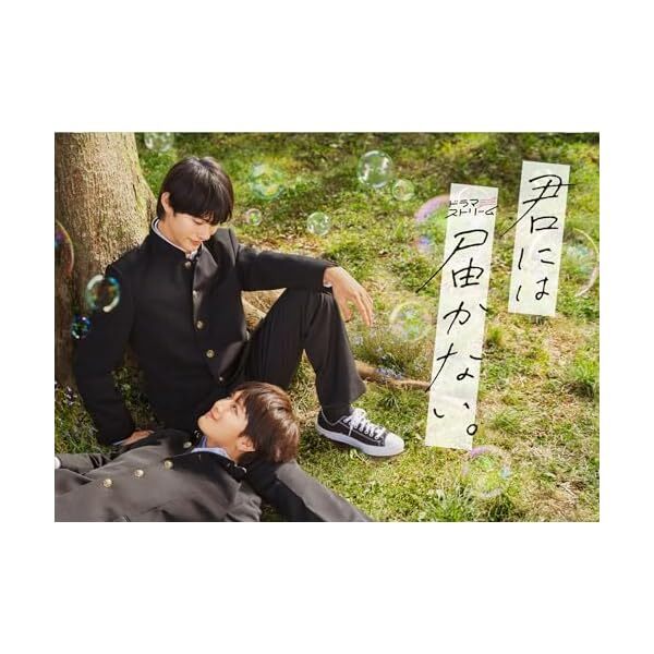 I Cannot Reach You DVD-BOX Japanese BL Drama Kimi ni wa Todokanai Region 2 JP