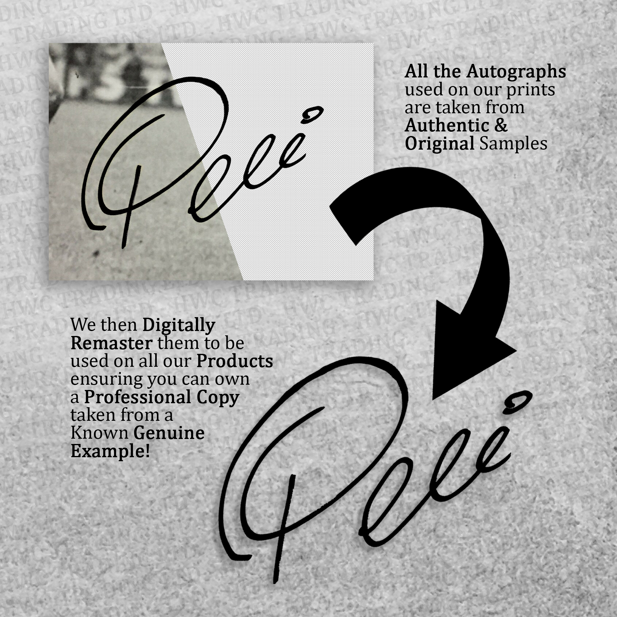Crepúsculo Ideal Regalo Impreso Enmarcado Autógrafo Imagen para Películas Memorabilia Fans - Imagen 8 de 91