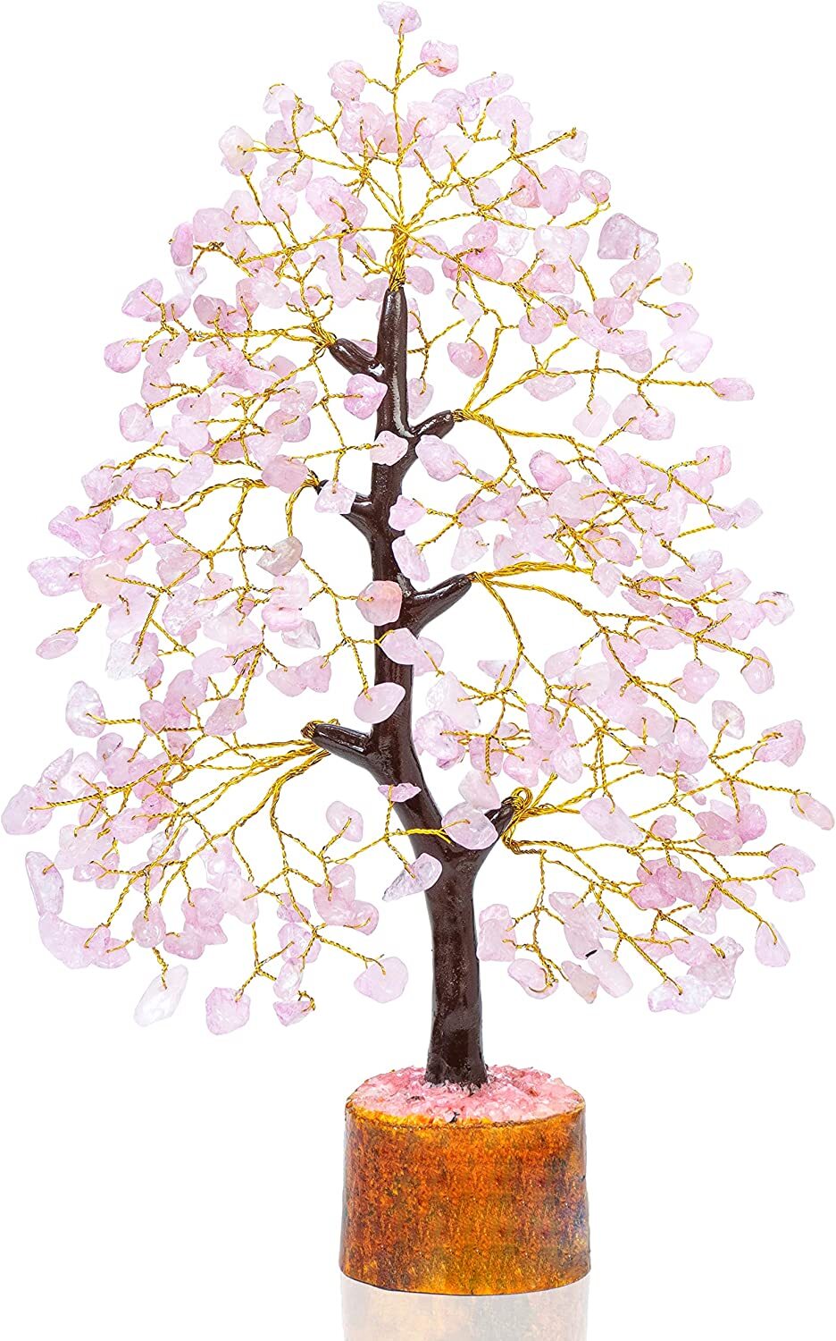 Picture 1