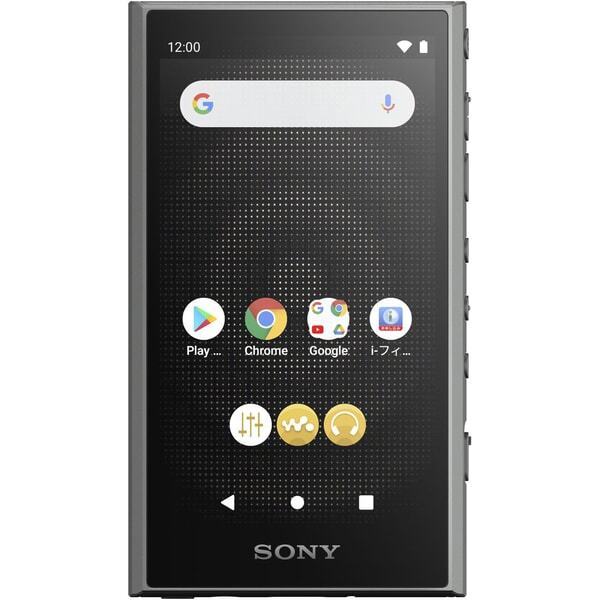 Sony NW-A307 Gray Black Blue 64GB Hi-Res A300 Series Walkman