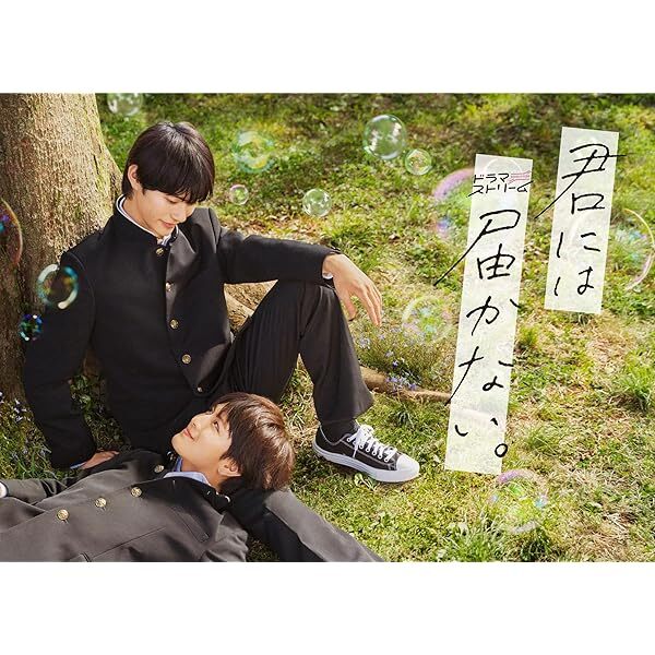 I Cannot Reach You Bluray BOX Japanese BL Drama Kimi ni wa Todokanai Region  JP