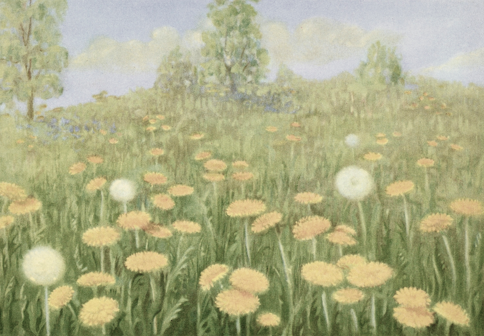 Dandelion Field Poster Dreamy Field Wall Art- 16×12/20×16/24×18/36×24