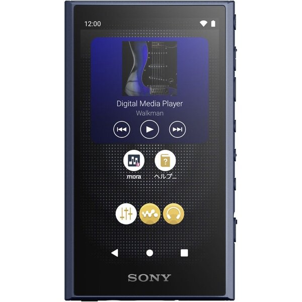 Sony NW-A307 Gray Black Blue 64GB Hi-Res A300 Series Walkman