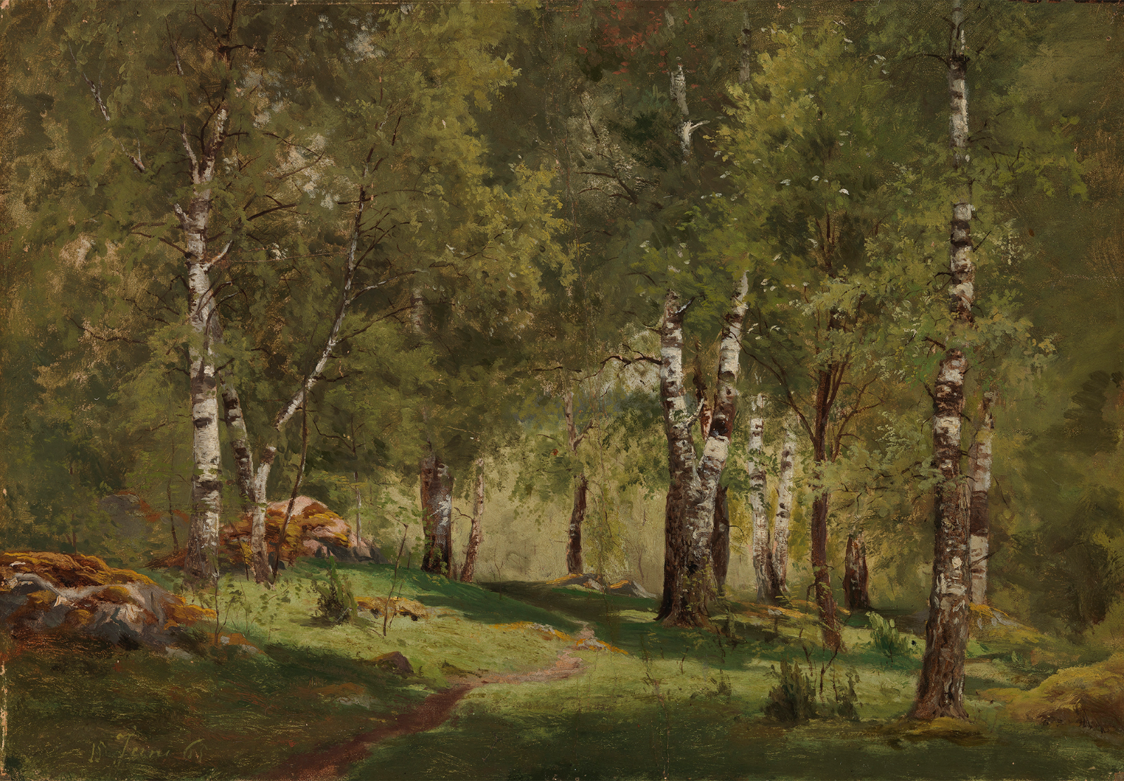 Birch Tree Forest Poster – Woodland Nature Wall Art – 16×12/20×16/24×18/36×24