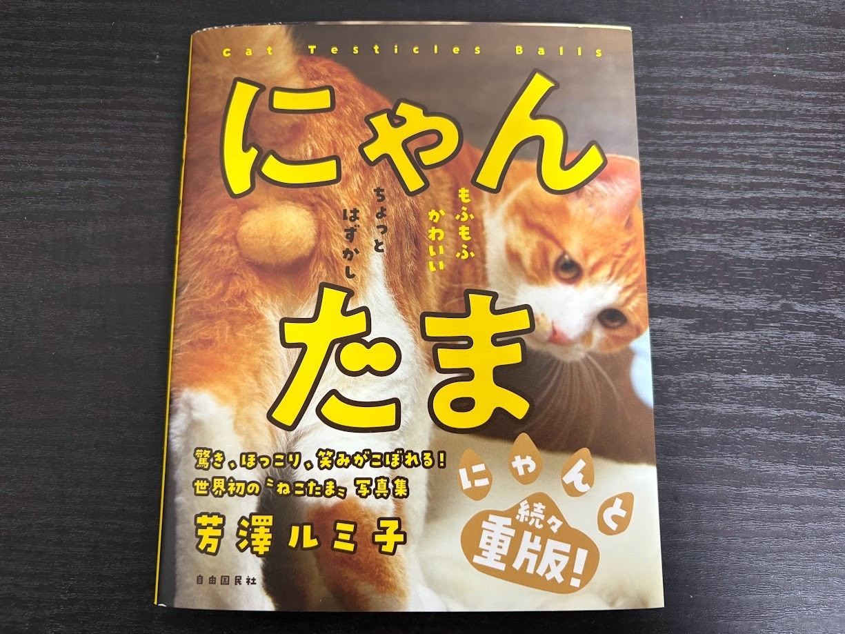 Picture Book NYAN-TAMA Cat Testicles Male Cats Furry Balls Japanese Photo Book